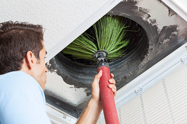 Air Duct Mold Removal in Moorpark, CA